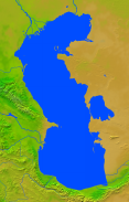 Caspian Sea Vegetation 770x1200